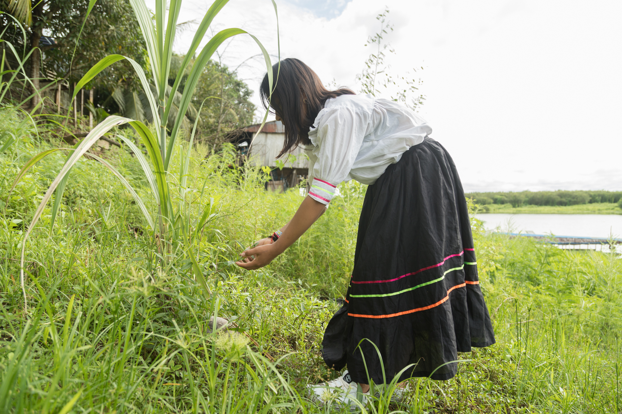 Jhanela - iført sin traditionelle klædedragt - forsøger at identificere planterne omkring floden nær promenaden i Iquitos.